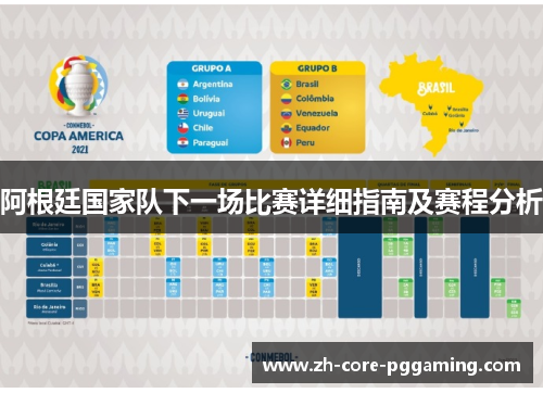 阿根廷国家队下一场比赛详细指南及赛程分析